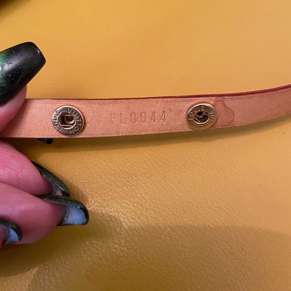 Louis Vuitton small belt bag florentine mini bum belt bag - Picture 6 of 13